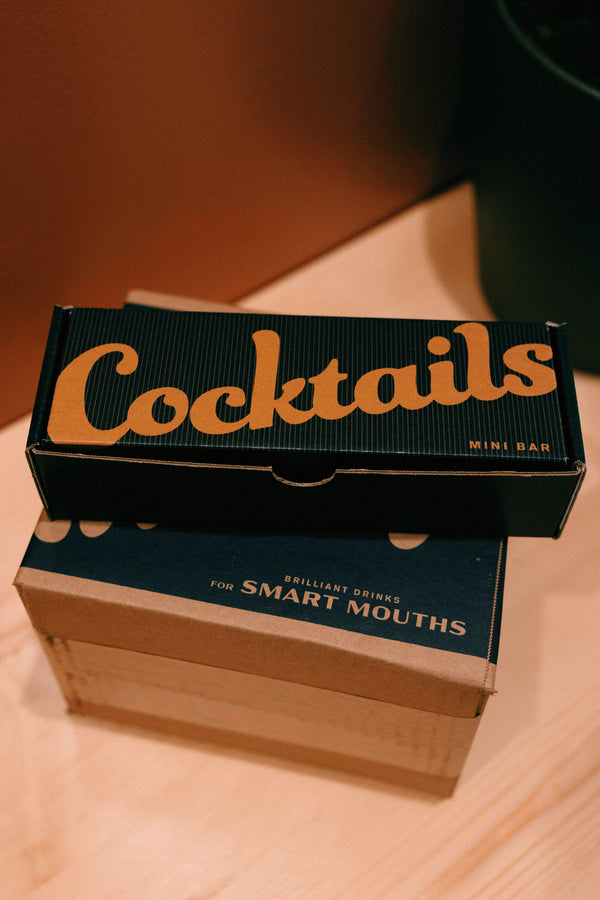 Cocktail Tin Mini Bar